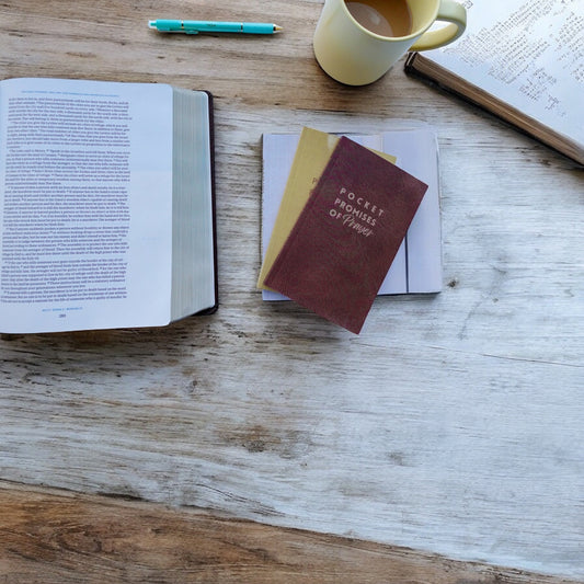 Brown Pocket Promises of Prayer Devotional on a wooden table